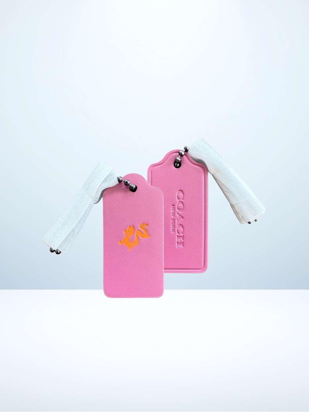 Coach Custom Hang Tag Dragon